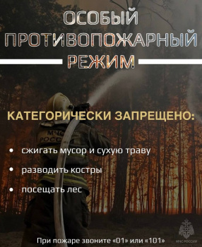 Особый противопожарный режим введён в июле в Чайковском