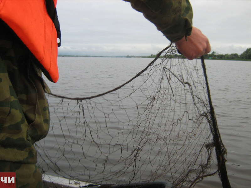 Более 350 метров рыболовной сети и незаконный улов